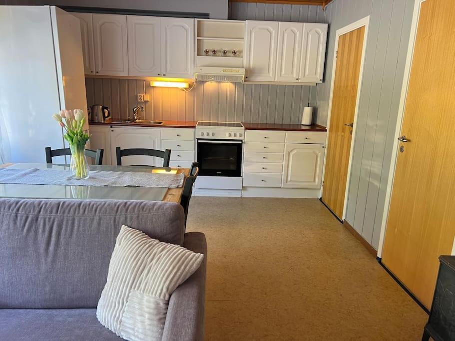 Apartment-A Near Etne-Odda Etnesjoen Buitenkant foto